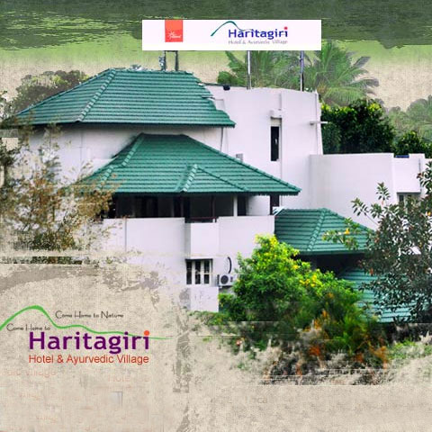 Haritagiri Hotel -WAYANAD 